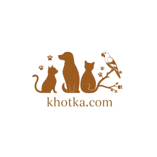 پت شاپ و دامپزشکی آنلاین خوتکا