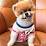 جوین (Jiffpom)